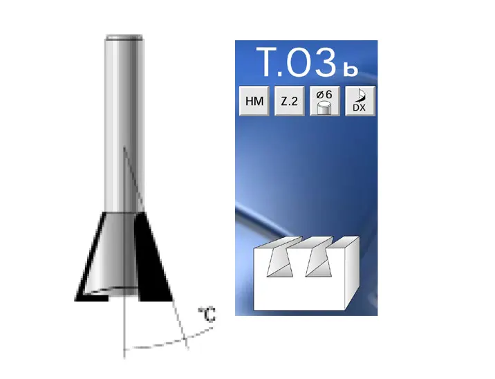 ma19